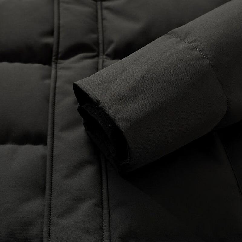 Flying in the Snow Goose Down Series Down Jacket Men's Short Removable Hood 2025 New Fashion Casual Coldproof Down Jacket