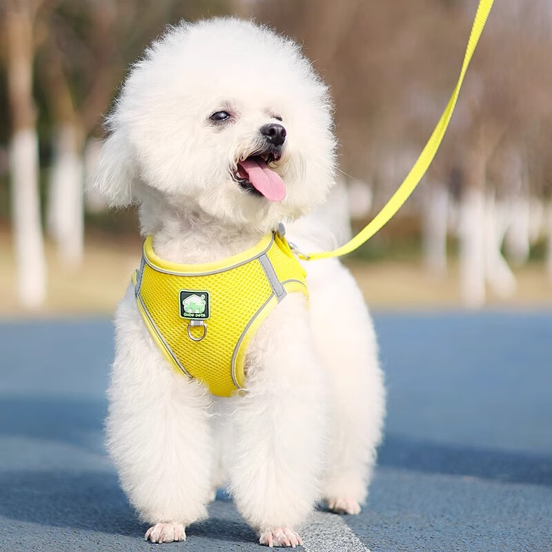 JCZS German brand vest-type dog leash Teddy small dog Bichon Frize Pomeranian harness puppy puppy dog walking peach blossom powder with 1.5 meters flat rope like peach blossom color S size recommended for dogs 3-6 pounds