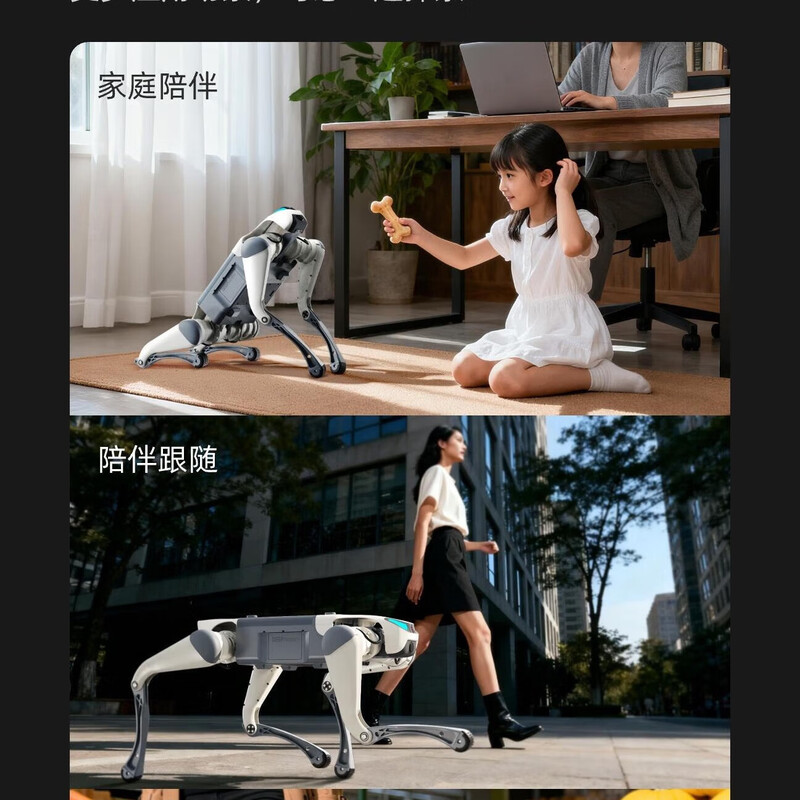 Miss Dolphin Cloud Deep Technology Lite3 Education and Research Intelligent Quadruped Robot Scenic Area Guide Machine Electronic Dog Mechanical Dog Electronic Pet Dog Automatically Follows Remote Control Robot Dog AI Version