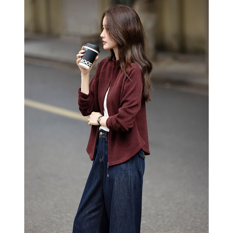 De Mana intellectual wear autumn Korean style urban stand collar zipper long sleeve loose small light women's jacket