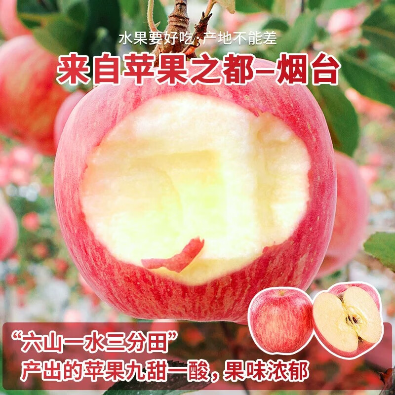 Dongdong Farm exclusively supplies Shandong Yantai Red Fuji apples, crispy, sweet and juicy Qixia ugly apples 80mm + 9kg in box
