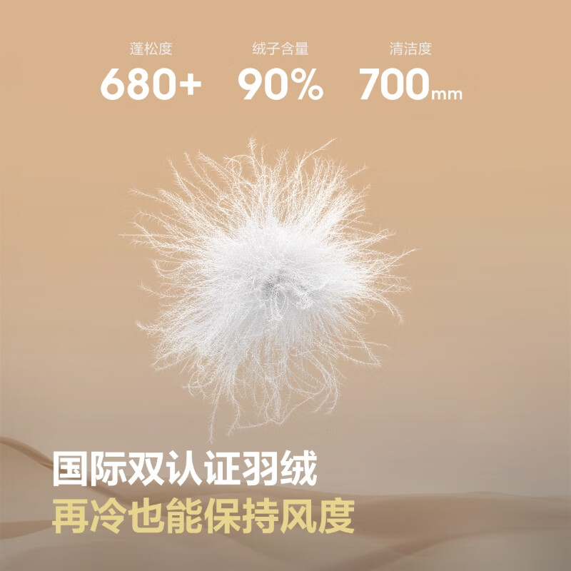 BOSIDENG 25 New Down Jacket Women's Short Commuting Fashion Casual Stand Collar Winter Versatile Warm Jacket B250245288 Sky Blue Love Print 9W38 - Store Manager Recommendation S 160/84A Weight Approximately 100-110 Jin