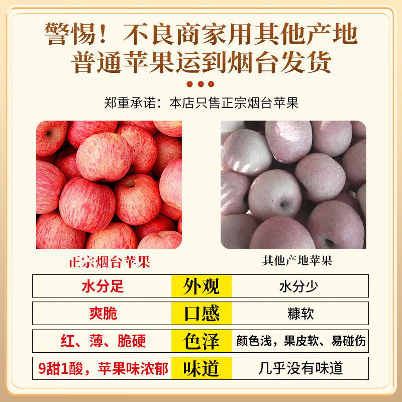 Authentic Yantai fresh apple fruit, 5 jins, 10 jins, seasonal whole box Qixia crispy sweet apple gift box, gift box with 85mm or more high-quality fruit king, highly recommended by the store manager (gift box sent randomly) 10 jins (net weight 9 jins)