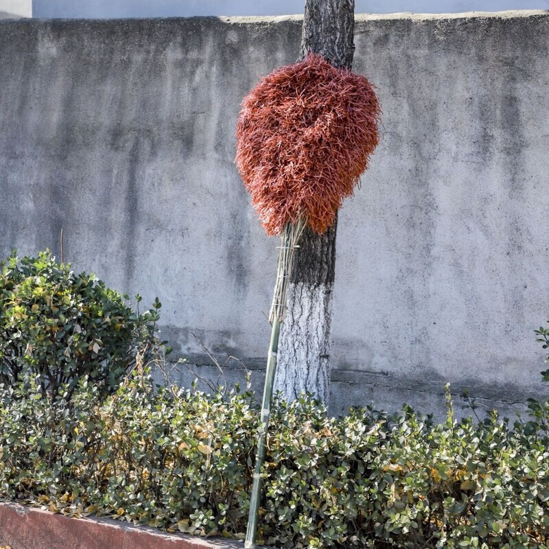 Bun Peng broom for sanitation, outdoor dust sweeping, extended length and width, courtyard cleaning, plastic wire, thickened broom, iron handle, plastic head, 10 brooms