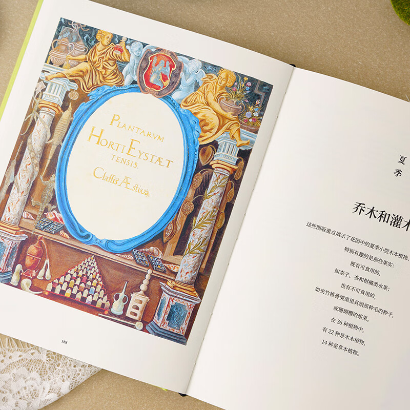 China National Geographic Illustrated Book of Flora and Fauna Butterfly Bible Plant Bible Officially Authorized by the Museum Plant Butterfly Flower Atlas Butterfly Bible + Plant Bible (two-volume set)