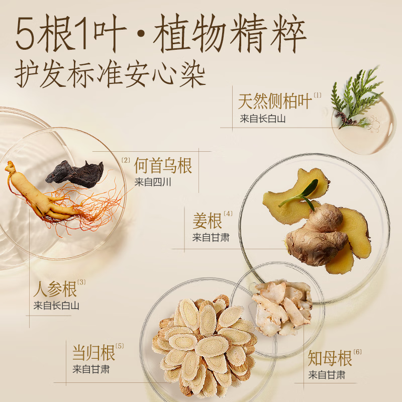 NetEase carefully selected the same style as Chen Long's one-comb dyed ginseng root hair dye to cover gray hair with zero irritation and easy dyeing, mocha brown*1 bottle