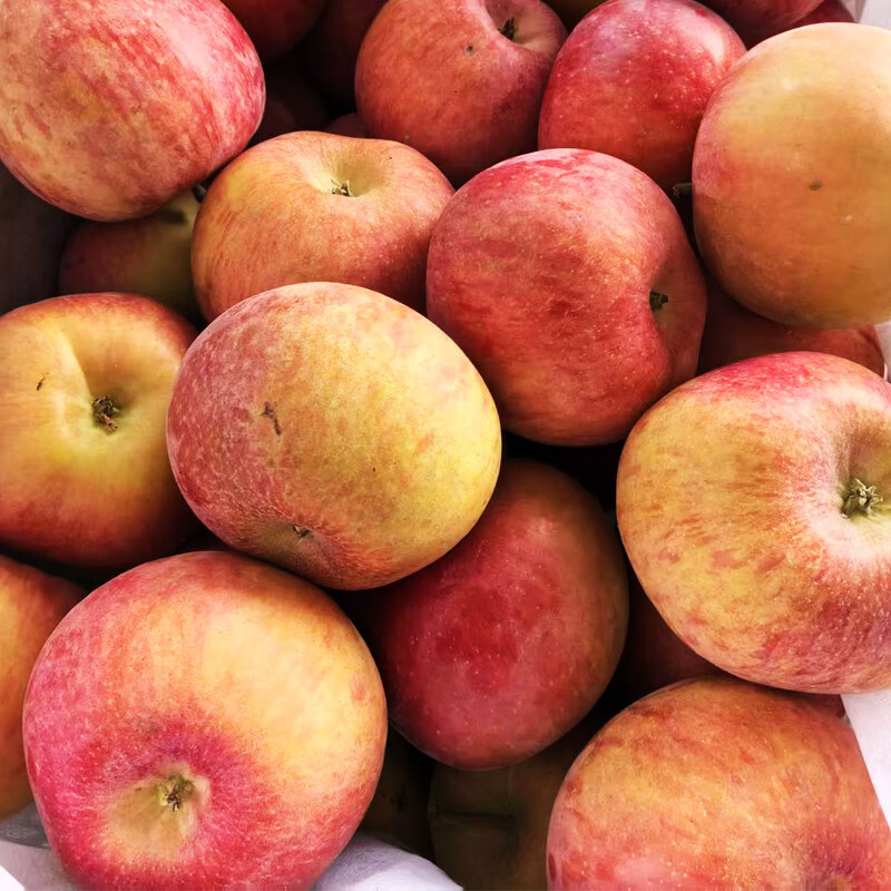 SF Organic Apple Yantai Crisp Sweet Snow Fuji Apple Healthy Pesticide-Free Organic Fruit 4kg 75mm