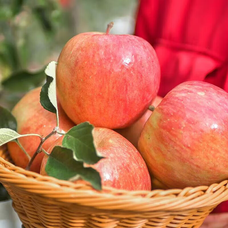 Xinjiang Aksu apples, Hongqipo Team 6, shipped from Shenyang warehouse, about 2 kilograms in box, 1.7 kilograms of net fruit