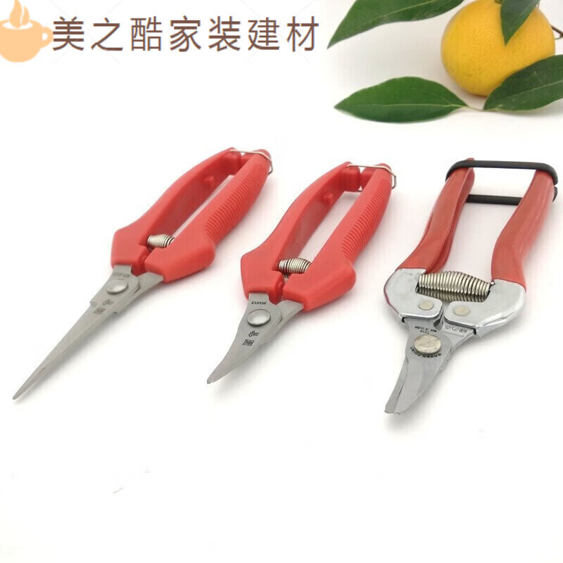 ZNMW is suitable for orange picking scissors, fruit picking scissors, curved head, elbow, tomatoes, tomatoes, orange picking scissors, tools with sparse water, long pointed scissors