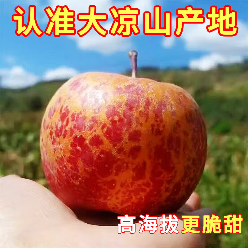 Authentic Daliang Mountain Ugly Apple Rock Candy Heart Fresh Seasonal Fruit Salt Source Sichuan Red Fuji Flat Fruit Full Box Free Shipping 85mm-90mm Extra Large Fruit Supermarket Quality 3 Jin