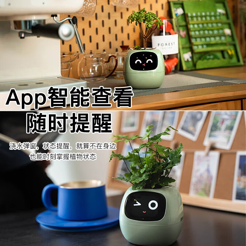 Ivy Emotional Intelligent Plant Cute Pet Intelligent Robot Flower Pot Plant Table Set with Trendy Ornaments Birthday Gift Glacier White Intelligent Flower Pot Children's Day Happy Children's Day Packaging + Children's Day Gift Bag Generation