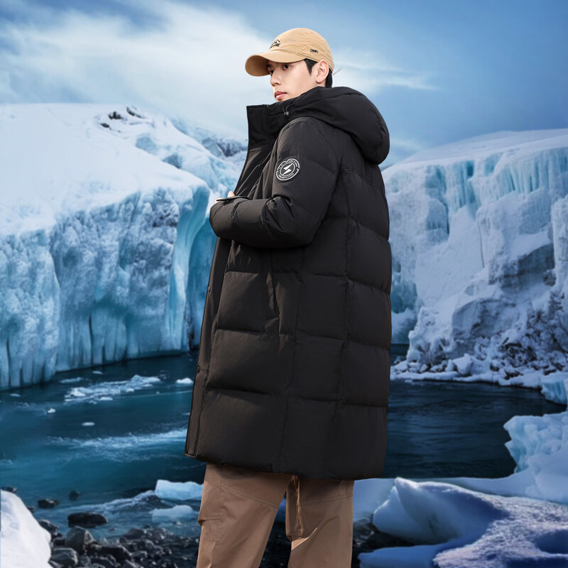 Flying in the Snow Autumn and Winter Oriental Simple Luxury Style Fashionable Casual Comfortable Silhouette Men's H-Type Printed Stand Collar Hooded Down