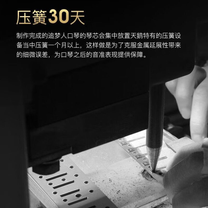 SWAN Swan High-end Dream Chaser 24-hole Polyphonic Harmonica Student Beginner Adult Professional Performance Level Harmonica Instrument 24-hole Polyphonic C Key Magic Night Black + Gift