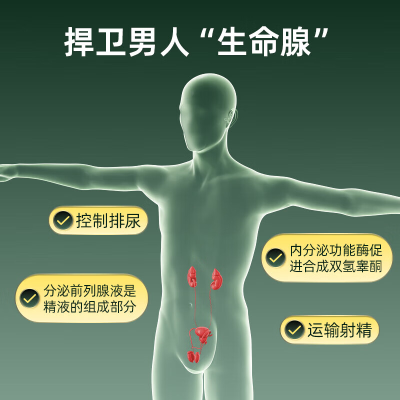 NATURE S ANSWER SINCE 1972 New Ansi imported saw palmetto prostate frequent urination urgent urination incomplete urination perineal hyperplasia hypertrophy calcification 120 capsules