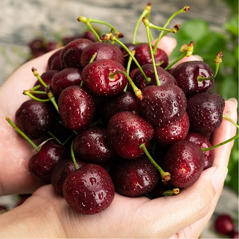SF air freight imported cherries from Chile, fresh fruit for pregnant women, large cherries, 3j4j cherries, whole box, 0.9 catties (net weight) 2J (28-30mm) | Ordinary packaging