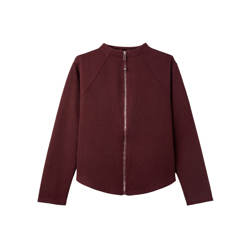 De Mana intellectual wear autumn Korean style urban stand collar zipper long sleeve loose small light women's jacket