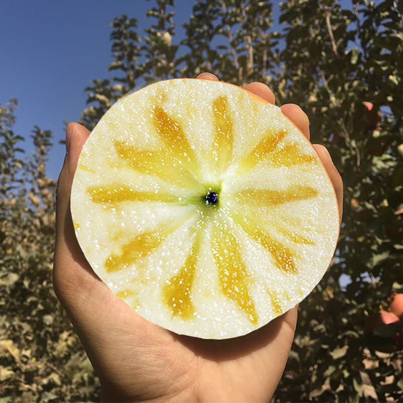 Jingdida Xinjiang Rock Sugar Heart Aksu Apple, net weight 5 pounds, large fruit, fruit diameter 80mm+, direct shipping from the fruit source, free shipping