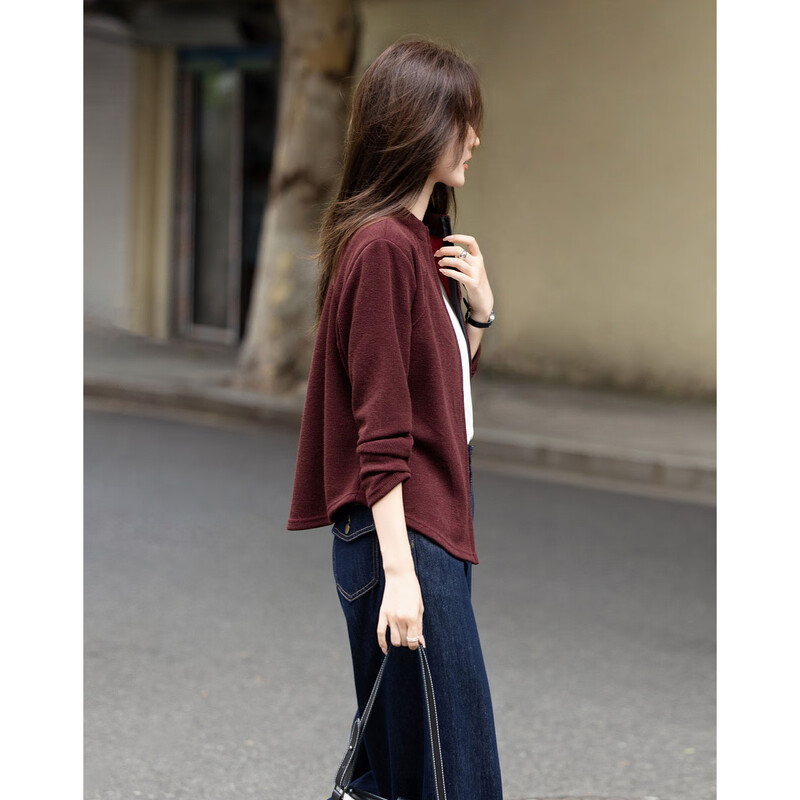 De Mana intellectual wear autumn Korean style urban stand collar zipper long sleeve loose small light women's jacket