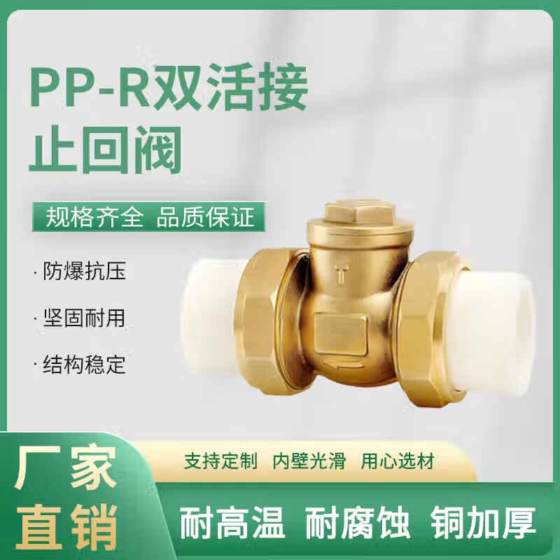 Teng Tu double hot melt union check valve H14H-16T check valve specifications can be customized PPR20-4 points one price