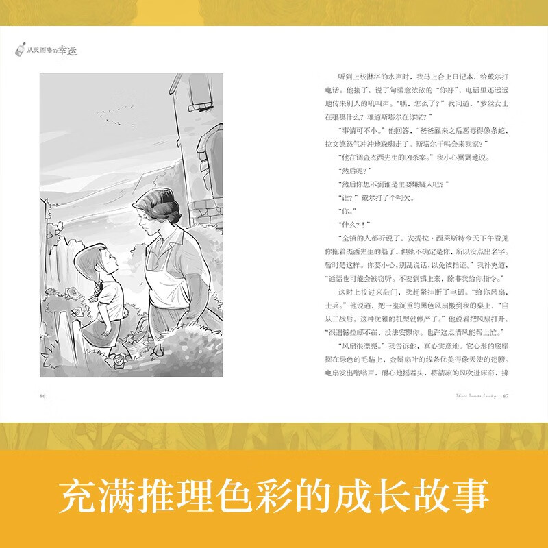 The Ivy League International Prize novel Lucky Falling from the Sky, Newbery Children's Literature Award Silver Award, love, self-growth, reasoning and other themes must-read for primary and secondary school students in grades 3, 4, 5 and 6, International Children's Literature Award classics extracurricular reading that affects children's lives.