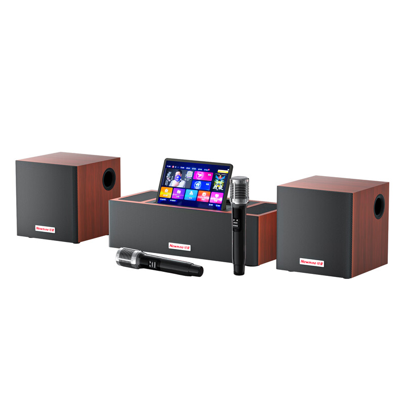 Newmine BT816 pro home KTV karaoke all-in-one machine home theater K song full set of equipment wireless Bluetooth speaker karaoke all-in-one machine high power smart screen dual microphone