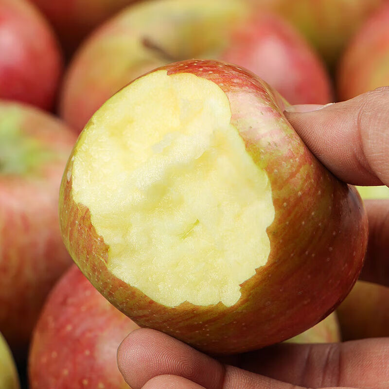 Fresh small Guoguang apples, authentic old tree Guoguang apples, sweet and sour seasonal fruits for pregnant women 5/10 jins, free shipping, 5 jins small fruits with box