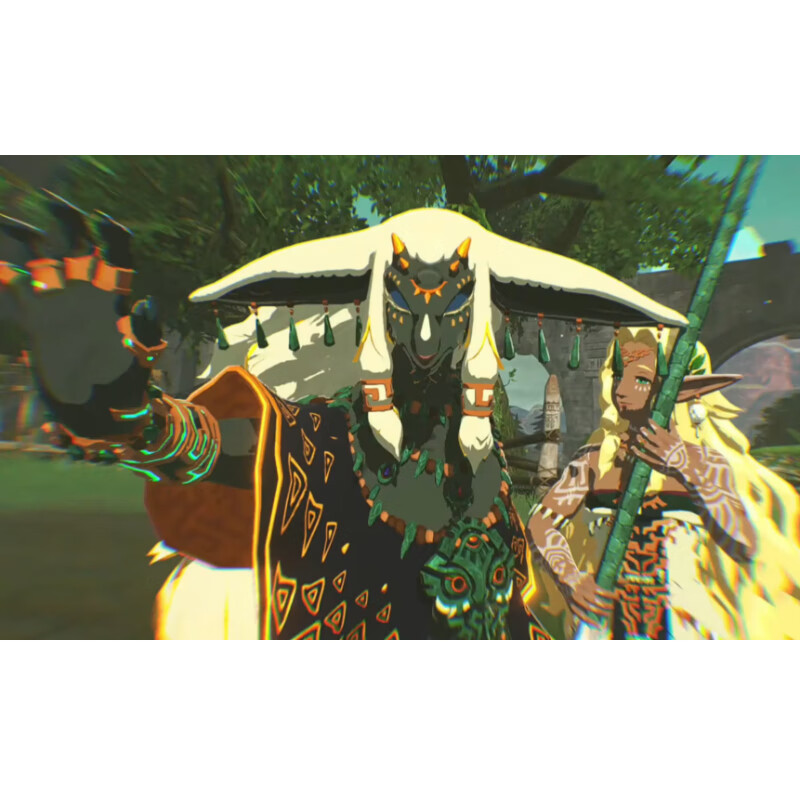 Nintendo's new Switch2 game software NS2 overseas version of the game physical cartridge, exclusive for Switch2 generation only NS2 Zelda Warriors Seal War