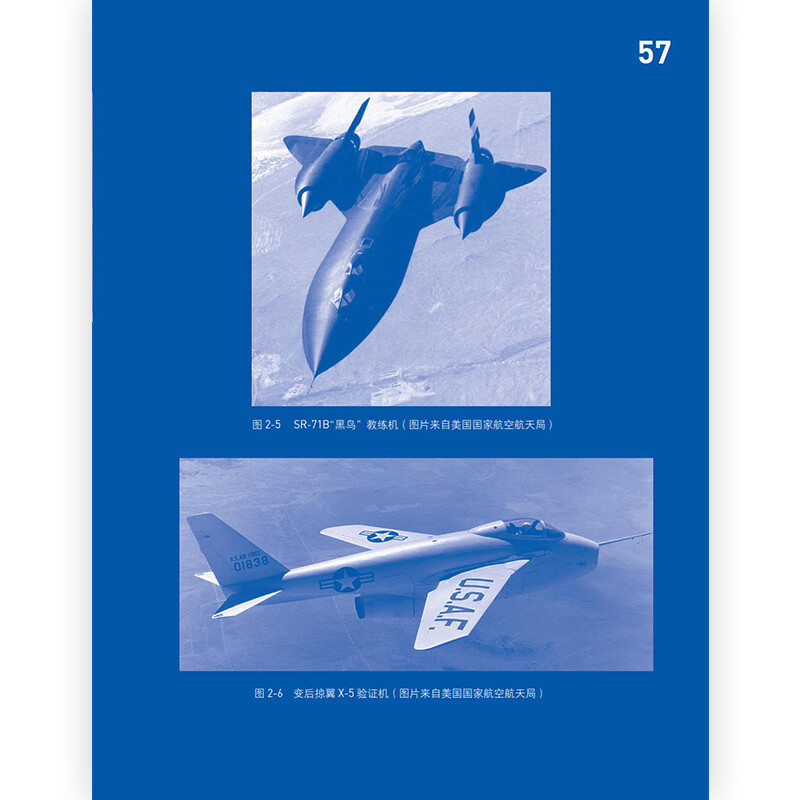 Understanding Flight (Second Edition) Revealing the Principles of Airborne Flight_Correcting Common Cognitive Errors