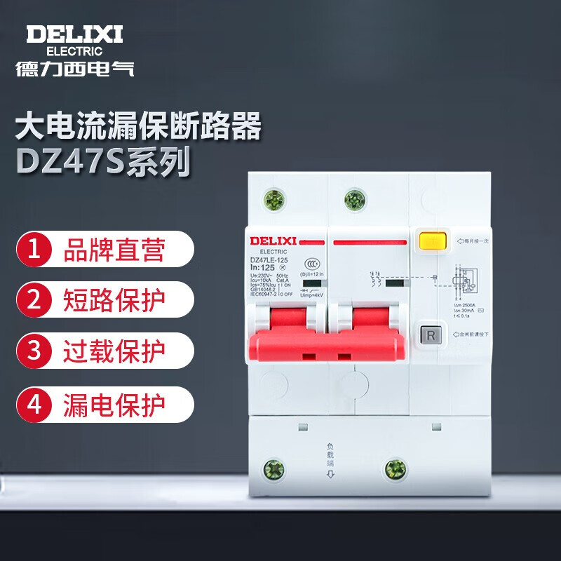 Delixi Electric leakage protector high current household leakage protection air leakage protection circuit breaker DZ47LE-125 2P li(C) 125A
