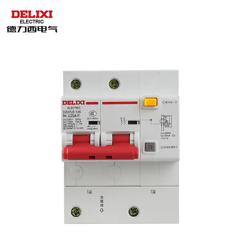 Delixi Electric leakage protector high current household leakage protection air leakage protection circuit breaker DZ47LE-125 2P li(C) 125A