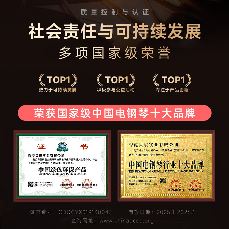 Betsy magnetic piano 88 keys portable student beginner folding electronic piano B100promax black + piano bag