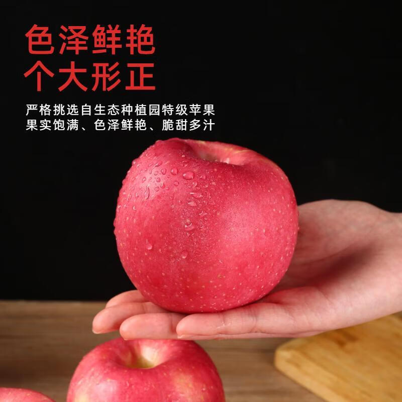 Jingning Apple Gansu Red Fuji Apple Fruit Fresh Seasonal Pick Whole Box Pregnant Women Fruit Ping An Fruit 7 Jin Hand-Selected Large Fruit 80-90mm 12 Pieces Net Weight 6 Jin