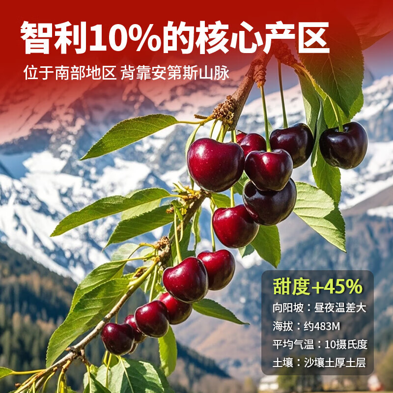 Meiyuexian champion quality Chilean cherries in gift box imported cherries, gift group purchase, SF part can be delivered the next day, 5 catties (net weight), original box ready, not unpacked to keep fresh, more hygienic, large fruit J grade, single fruit 6-8g