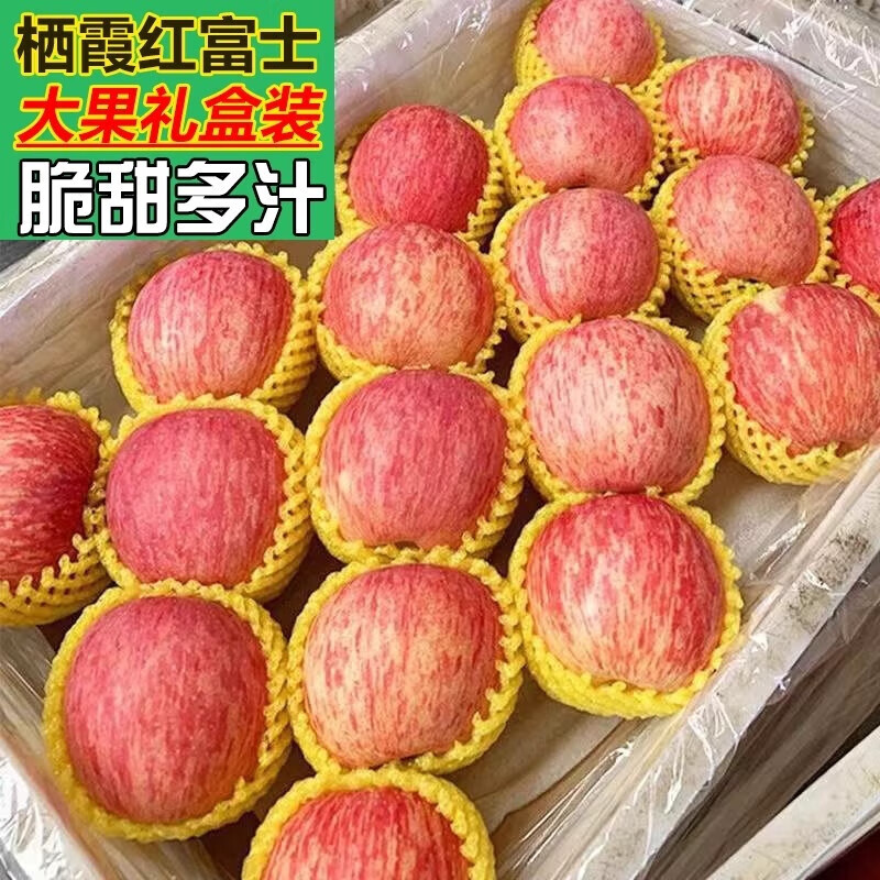 Authentic Yantai Qixia apple boutique gift box new fruit first stubble crisp sweet red Fuji fresh in season 1 catties in box (from 70mm)