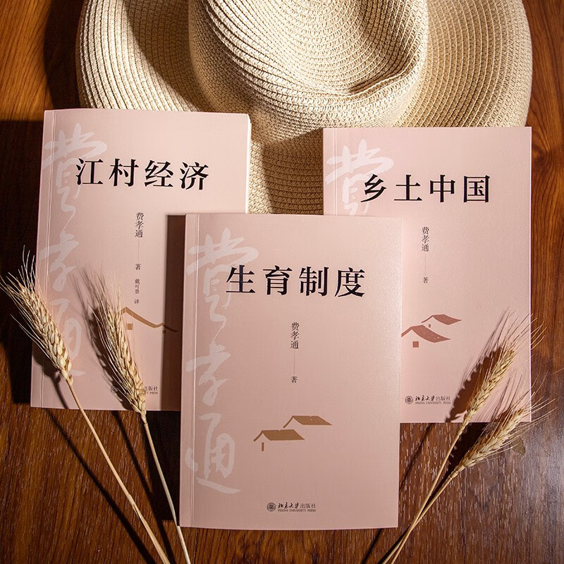 Fei Xiaotong's sociology classic (set of 3 books) Rural China + Village Economy + Fertility System Fei Xiaotong's foundational work on sociology Recommended reading course for middle school students