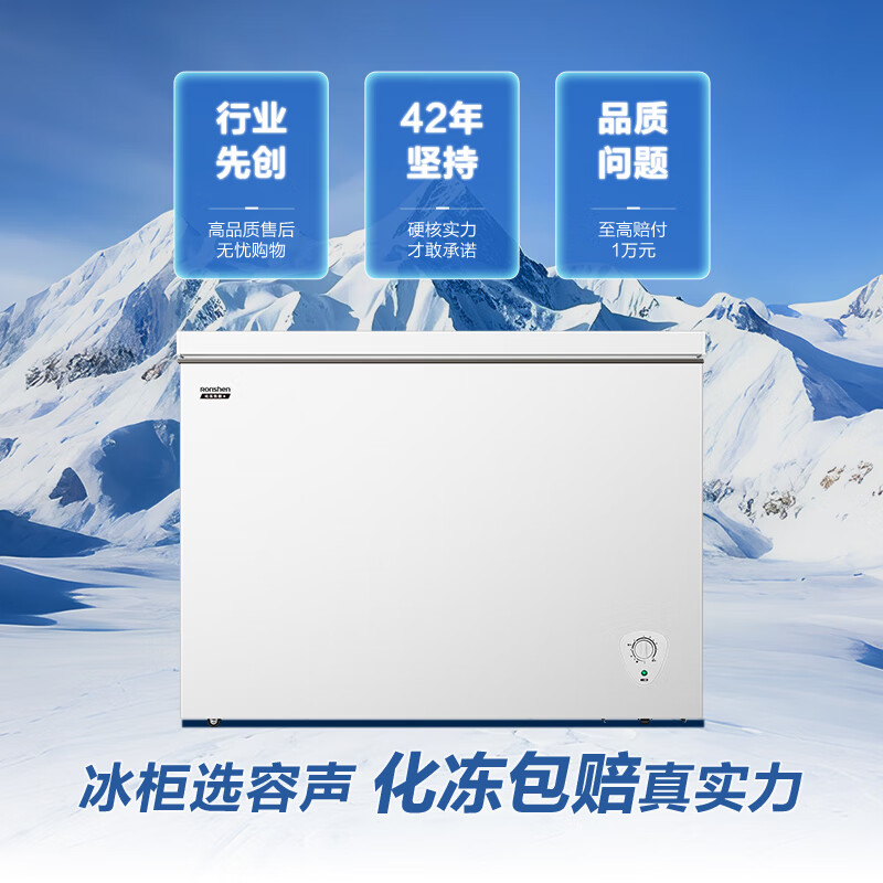 Ronshen 300-liter first-class energy efficiency energy-saving large-capacity freezer refrigeration and freezing conversion single-temperature high-efficiency low-noise horizontal freezer trade-in BD/BC-300E10HNLAJ 300L