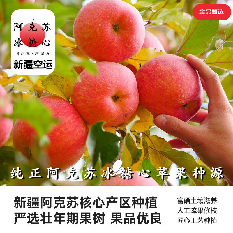 Jingdida’s authentic Xinjiang air-shipped Aksu apples, net weight 5 catties, single fruit 85mm + fresh fruit direct from source, free shipping