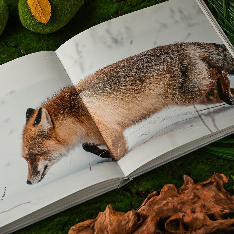 Traces of Time Travel Photographer Tang Seng Photography Collection Photography Book Landscape Photography Album Collection Quality Hardcover Art Album Natural Scenery Photography Produced by Photographers