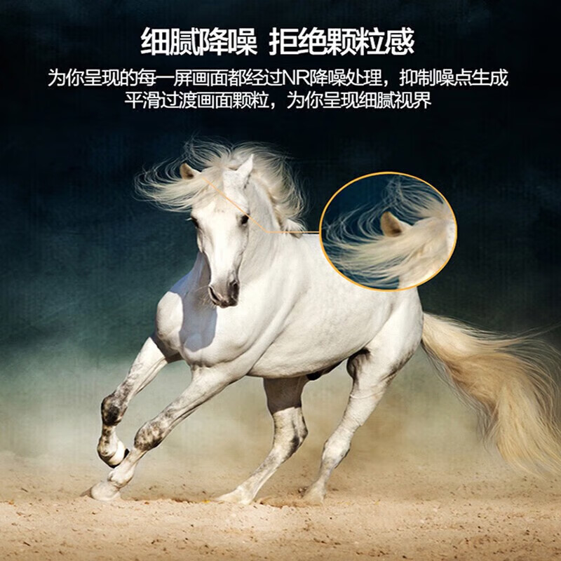 TGLDZ smart screen TV 8K ultra-high definition smart network wifi voice projection living room can be wall-mounted in bedroom eye protection 75 inches length 138*height 78CM smart network version door-to-door delivery + 5-year free replacement + free installation