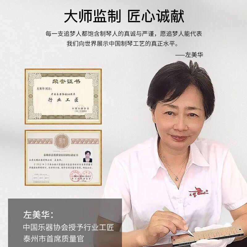 SWAN Swan High-end Dream Chaser 24-hole Polyphonic Harmonica Student Beginner Adult Professional Performance Level Harmonica Instrument 24-hole Polyphonic C Key Magic Night Black + Gift