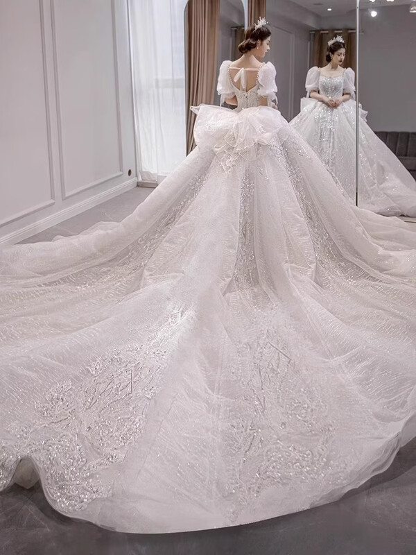 OEMG high-end wedding dress plus size wedding dress 200 pounds plus fat plus fat MM light wedding dress for women wedding show floor-length style with veil skirt support 5XL about 170 pounds