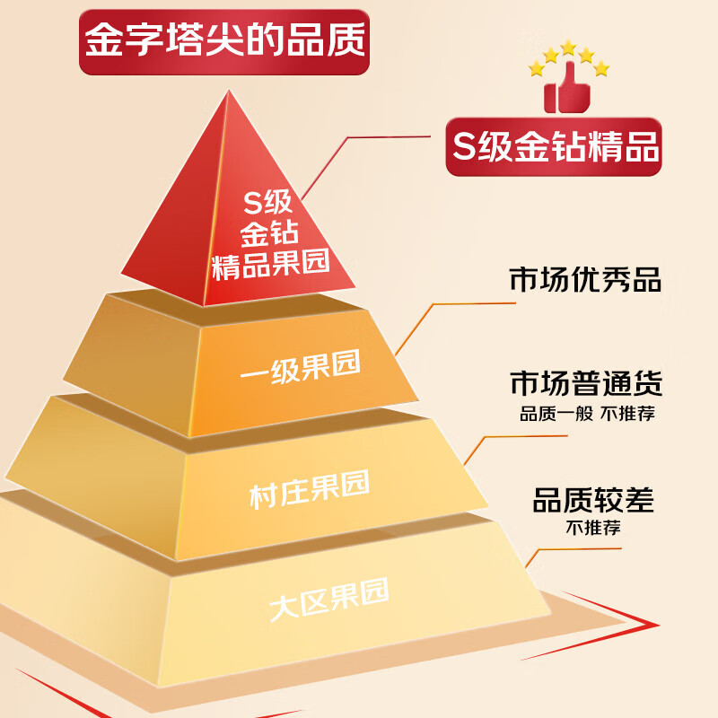 Guoxuan Chilean cherries JD - next-day delivery in many places Imported cherry fruit gift box for New Year gifts for parents 5 pounds (net weight) The most cost-effective Sharing gift box Luxury level Solid and crisp 4J Golden Diamond Fruit King 32-34mm