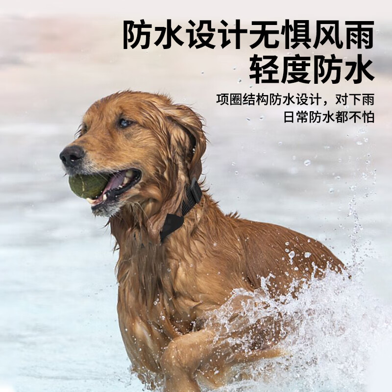 Padilin pet locator collar cat and dog real-time positioning tracker kitten anti-lost smart card MFI certified 5G