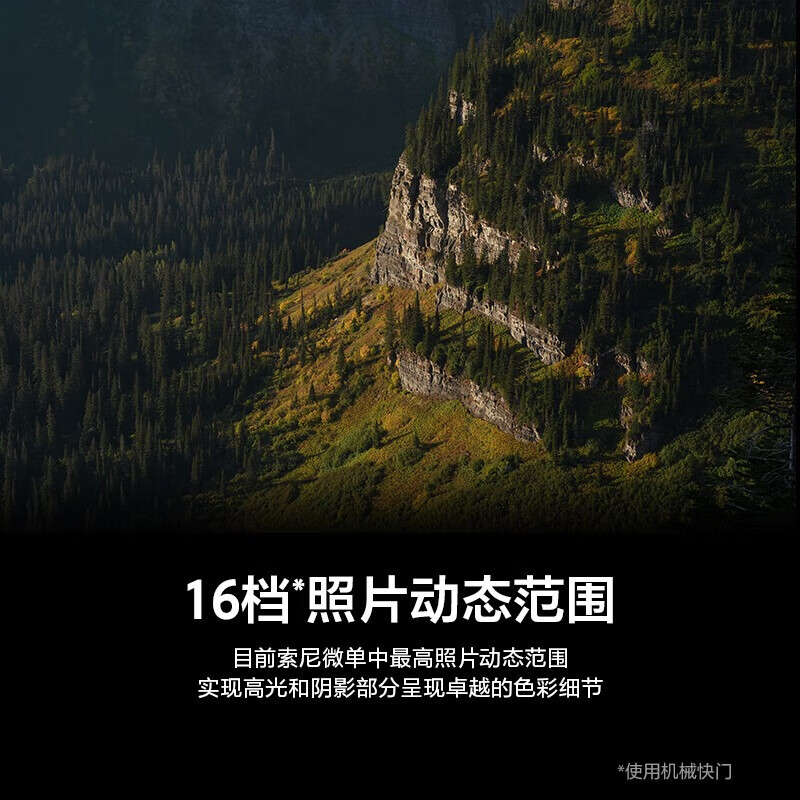 Sony (SONY) Alpha 7 V single body + 24105G lens set