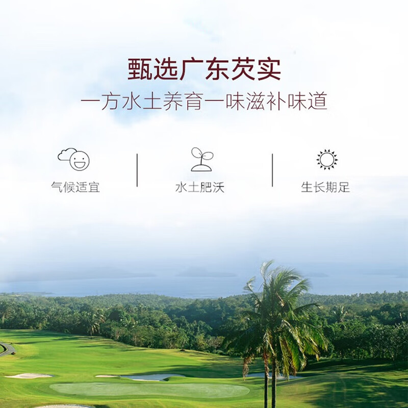 Tongrentang Brand Beijing Tongrentang Gorgon 300g Guangdong Raw Gorgon Chicken Head Rice with Wolfberry Lotus Seed Poria