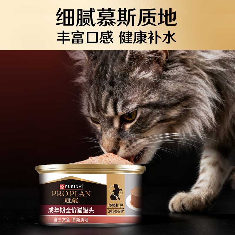 Guanneng adult cat canned food containing salmon 85g*12 cans mousse staple food cans wet food snacks Jingdong self-operated