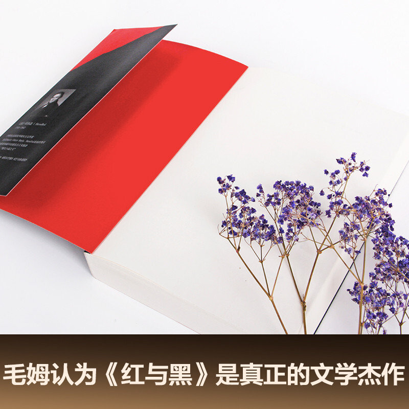 Red and Black (literal French translation without abridgement, collected by the Bibliothèque Nationale de France, translated and revised by Mr. Luo Xinzhang, a translator from the Chinese Academy of Social Sciences) novel