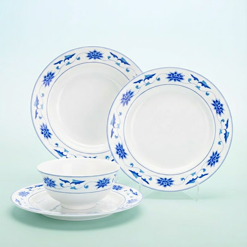 Hongye GZ RL Chinese porcelain Jingdezhen tableware set for home use a complete set of ten bowls and ten plates (56 pieces of Sichuan Zilianzhong tableware)