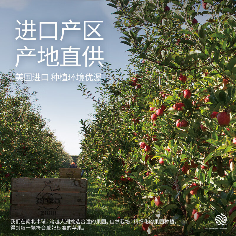 Aifei American Apple Early Access Fruit 4-pack Fruit Gift Box Imported Fresh Fruits Starting from 160g Straight from the Source