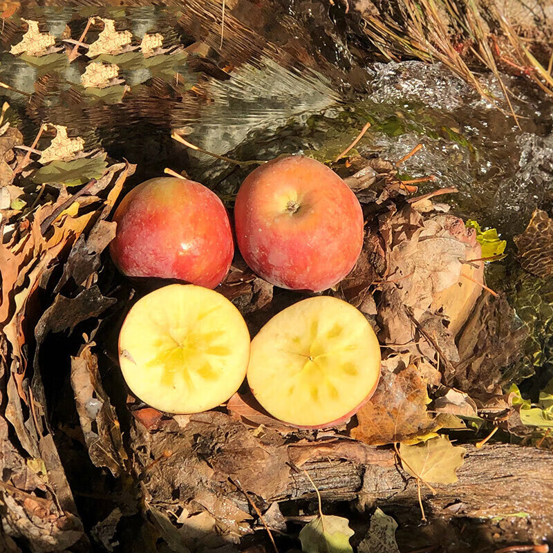 Jingtai Fresh Shanxi Rock Candy Heart Apple, Crisp and Sweet Alpine Red Fuji, Ugly Apple, Seasonal Seasonal Fruit Whole Box, Selected 4.5-5kg high-quality fruit single fruit 180g+